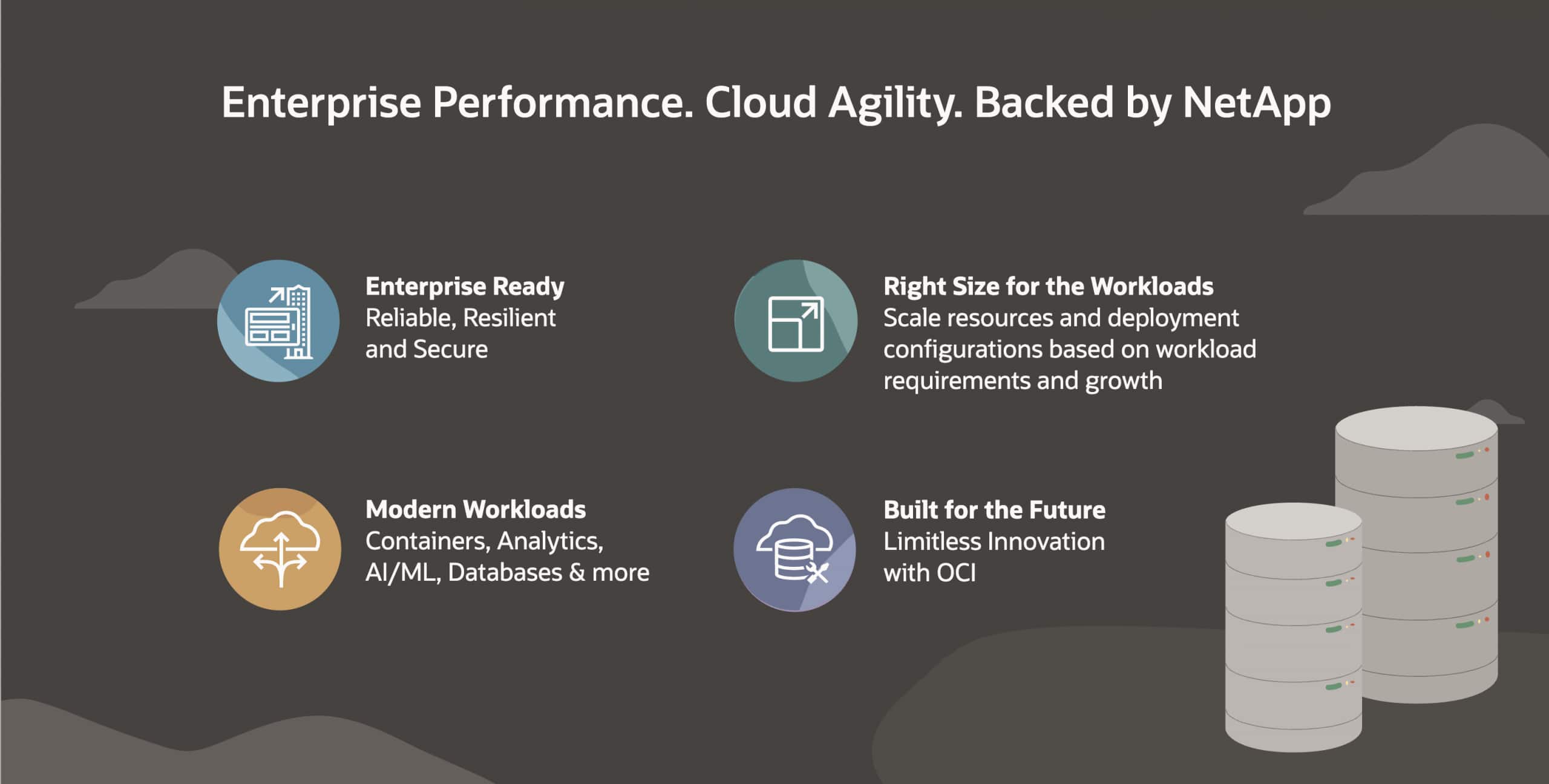 oci netapp storage service