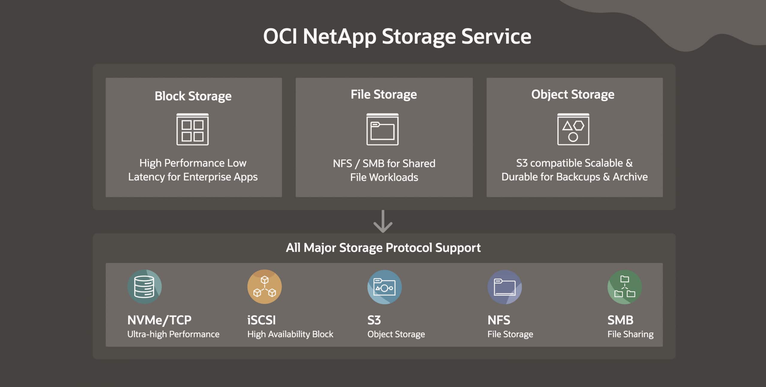 oci netapp storage service