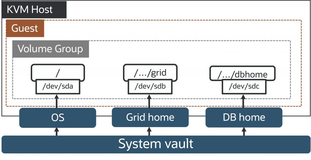 Block diagram showing a KVM host with a KVM guest. The volumes for the KVM guest – for the OS, Grid and database homes – are grouped together in a volume group. 