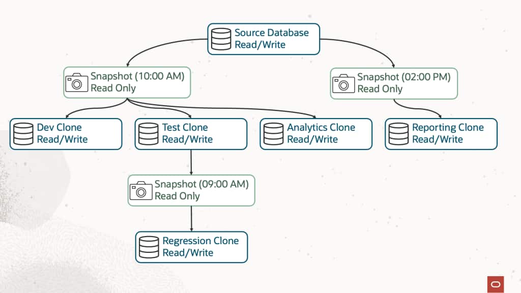 Diagram illustrating the relationship between Exadata Exascale snapshots and clones. A read/write Source Database at the top creates two read-only snapshots: one at 10:00 AM and another at 2:00 PM. The 10:00 AM snapshot is the parent of three independent read/write clones: Dev Clone, Test Clone, and Analytics Clone. The Test Clone is then used to create its own read-only snapshot at 9:00 AM, which in turn is used to create a read/write Regression Clone, demonstrating that clones can also serve as the source for additional snapshots and clones. The 2:00 PM snapshot is the parent of a separate read/write Reporting Clone. Green boxes represent read-only snapshots, blue boxes represent read/write databases and clones, and connecting arrows show the parent-child relationships.