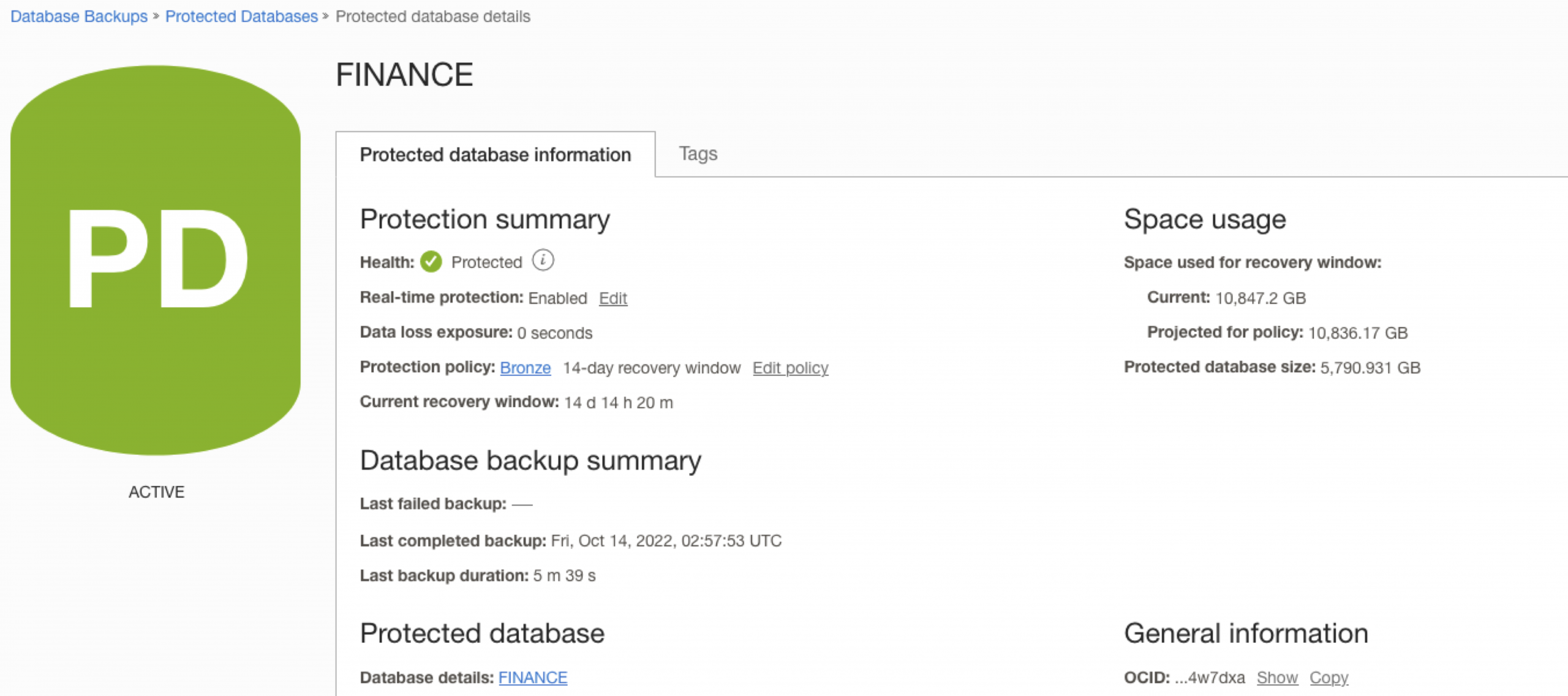 Image showing the protection details for a database