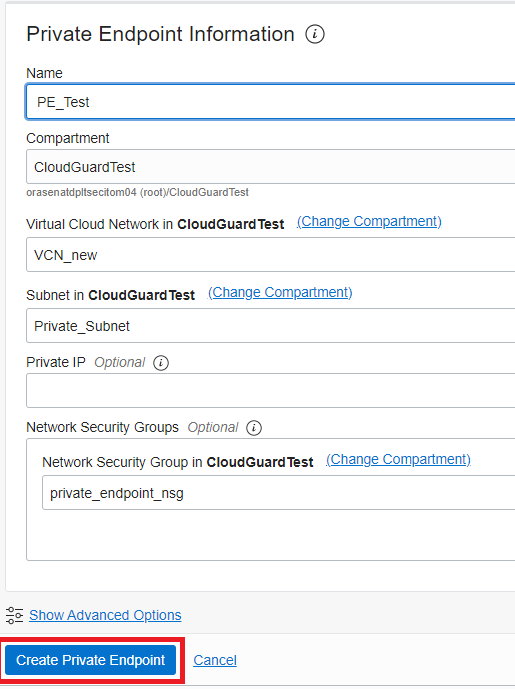 Private Endpoint Information