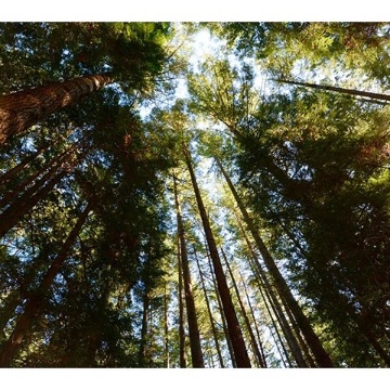 Profile picture of Dayne Carley