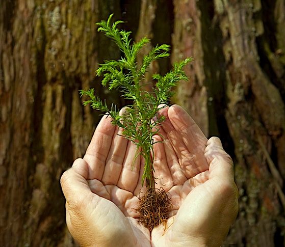 Profile picture of Oracle Social Impact