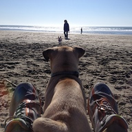 Profile picture of Michael McMahon