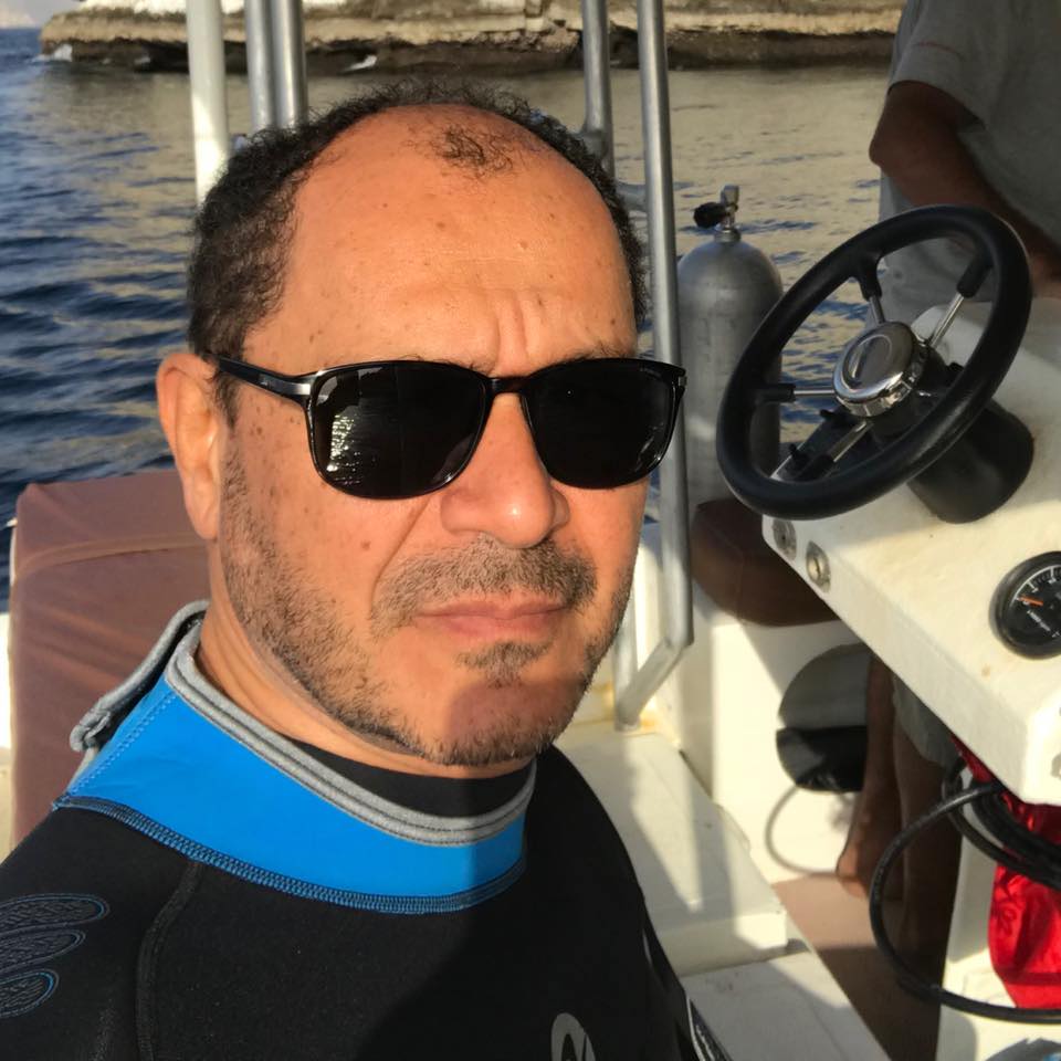 Profile picture of Alaa Fahmy