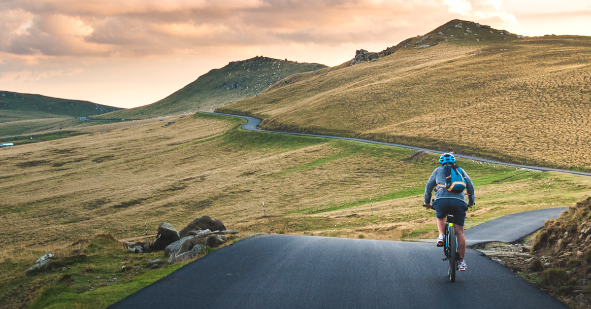 Profile picture of Milad Shiraz