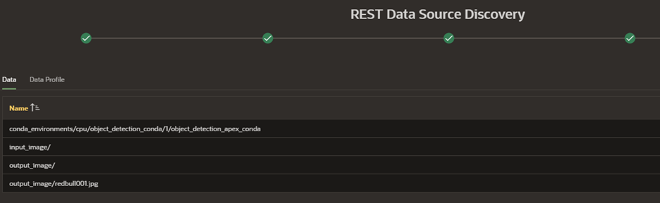 A screenshot of the Data tab showing the names of files within the bucket.
