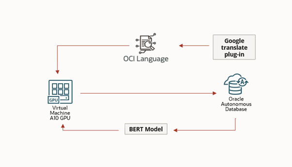 Work flow for the solution with optional use of the Google Translate plugin.