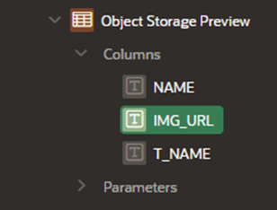 A screenshot of the expanded Object Storage Preview, showing the columns with IMG_URL highlighted.