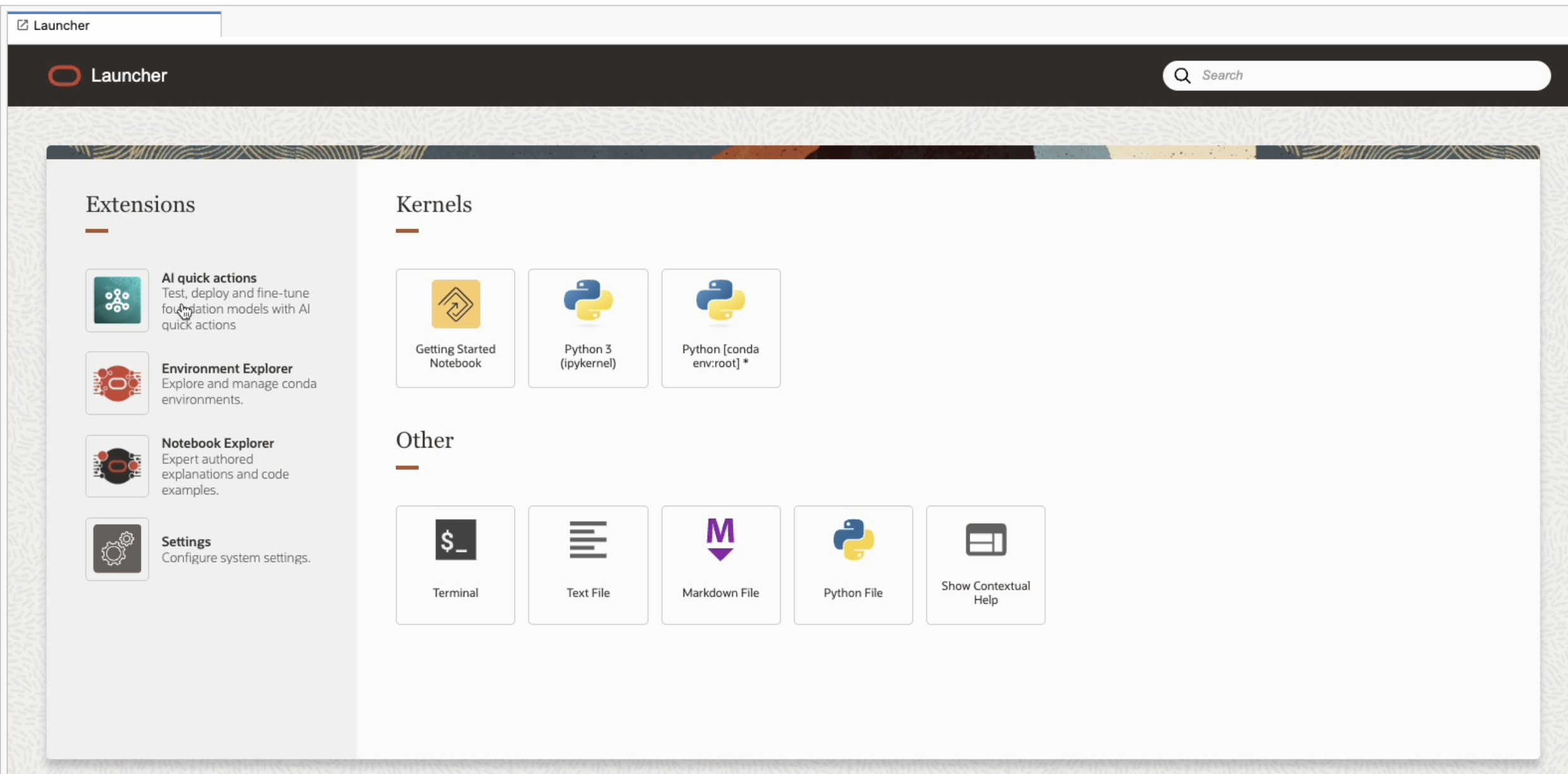 Launcher
