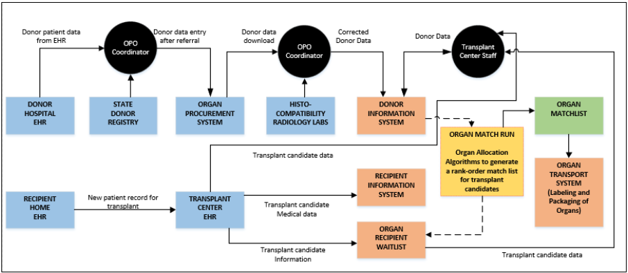 A graphic depicting the workflow for organ transplant.
