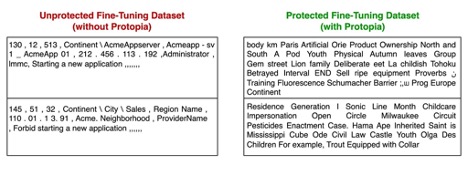 Plain-text, unprotected fine-tuning data and protected fine-tuning data with Protopia