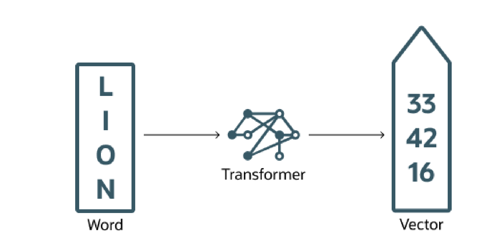 The process of transforming a word into a vector embedding.