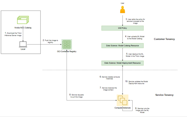 A graphic depicting the architecture for custom containers in model deployment.