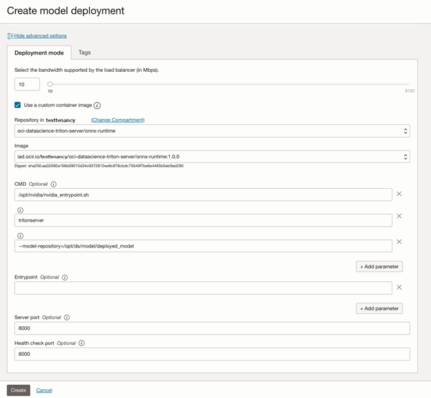 A screenshot of the Create model deployment screen on the Deployment mode tab with the option to use a custome container image selected.