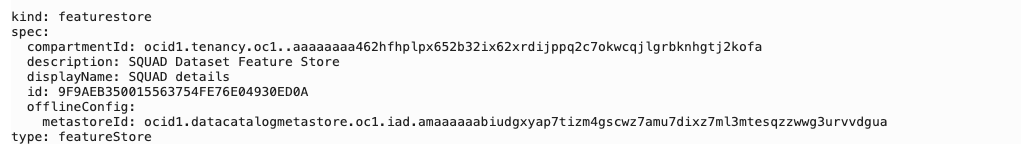A screenshot of the code output to create the feature store instances.