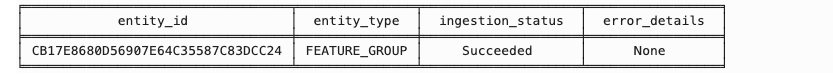 A screenshot of the status of the materialized feature group.