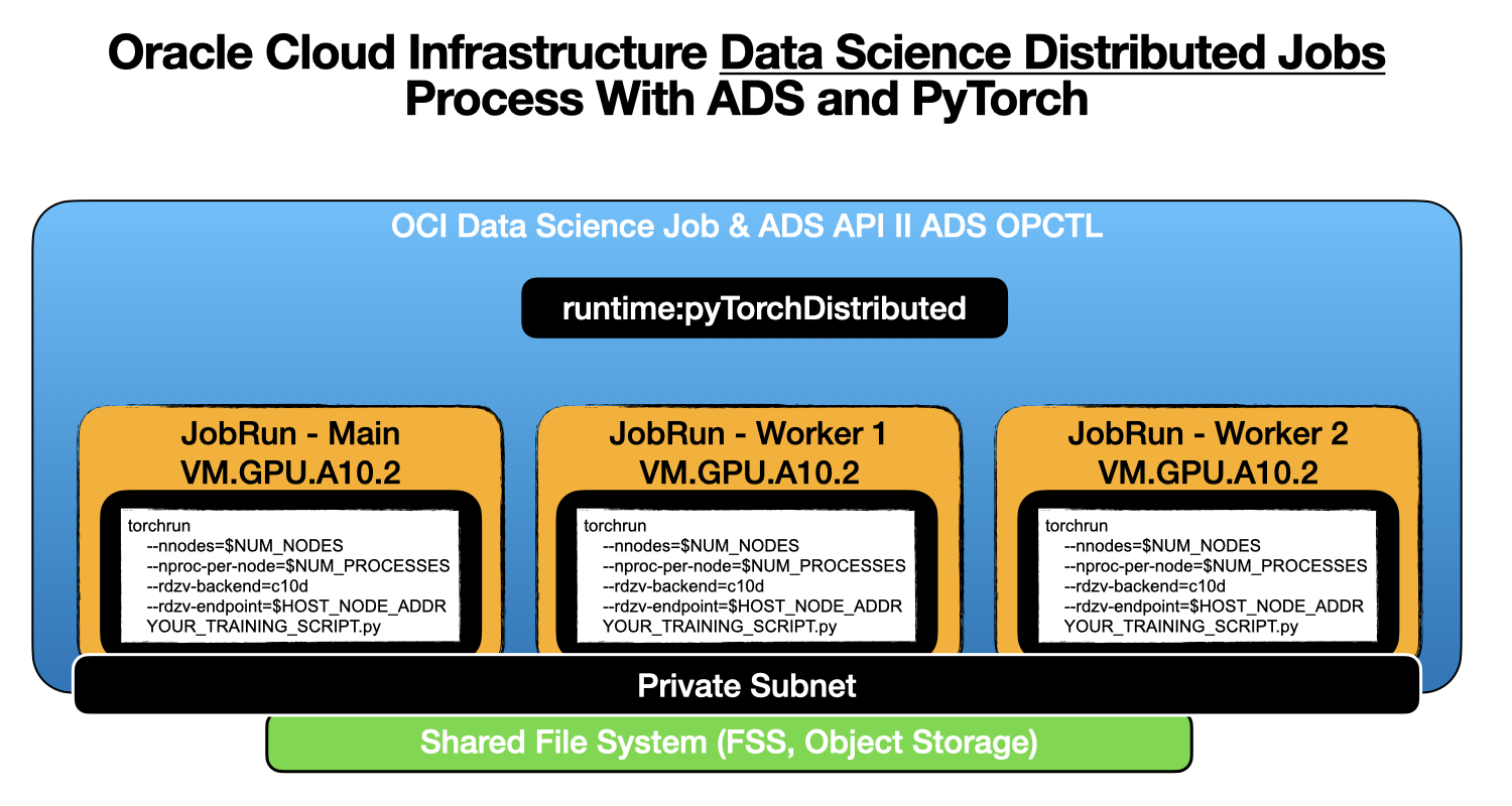 A graphic depicting the OCI Data Science distributed jobs process with ADS and PyTorch.