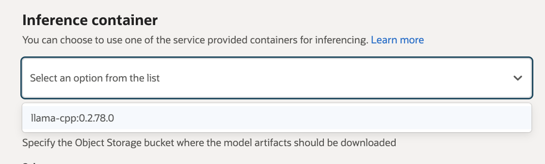 llama.cpp is in the service managed container for GGUF models in AI Quick Actions