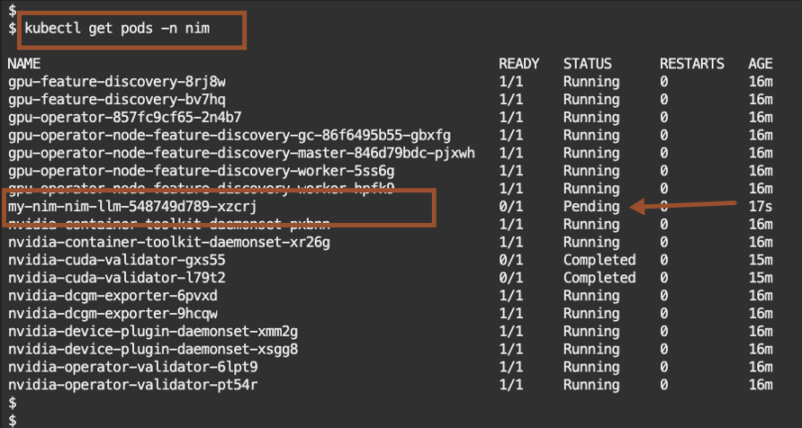 NIM on OKE - Cloud Shell