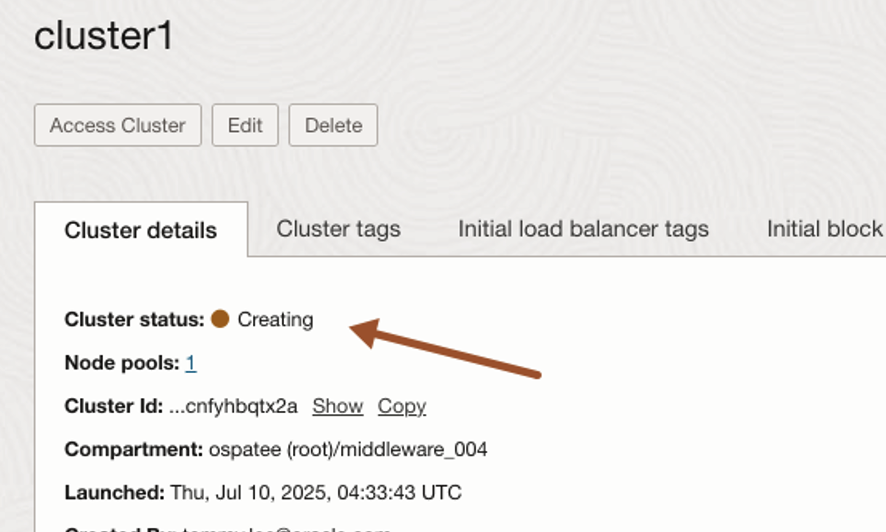 OCI Cloud Console - NIM on OKE - Cluster 