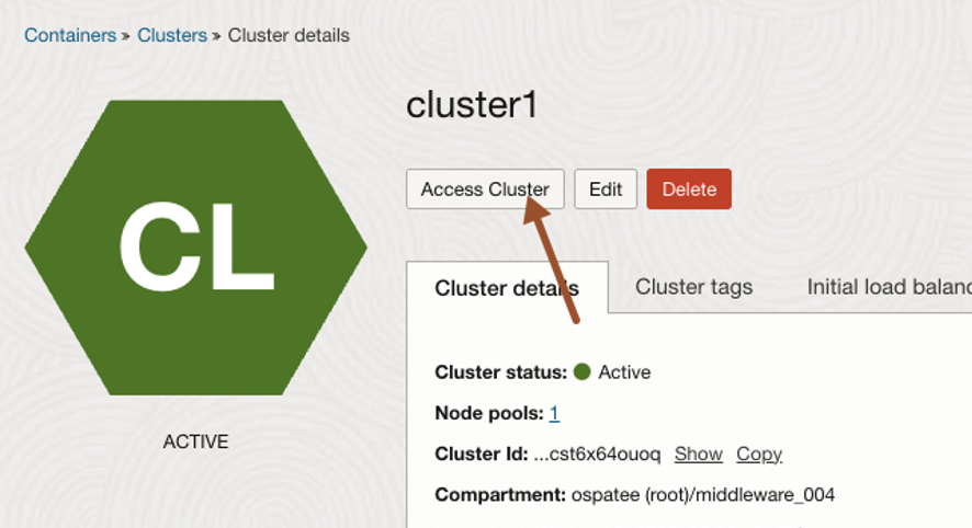 OCI Cloud Console - NIM on OKE - Cluster Access