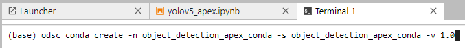 A screenshot of the command code in the terminal.
