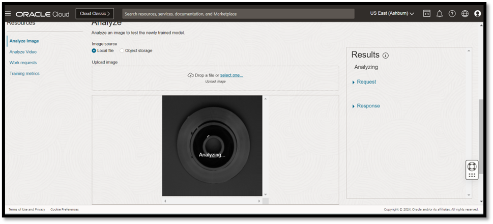 OCI Vision analyzing an image.