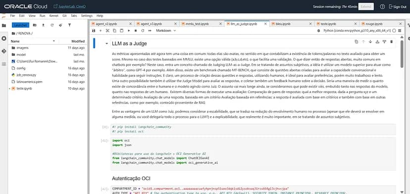 Jupyter Labs Notebook in the OCI Data Science