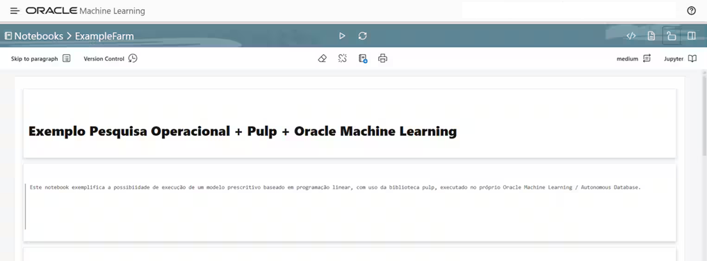 A typical Oracle Machine Learning Notebook