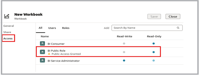 The workbook’s Access settings show BI Public Role with read-only access.