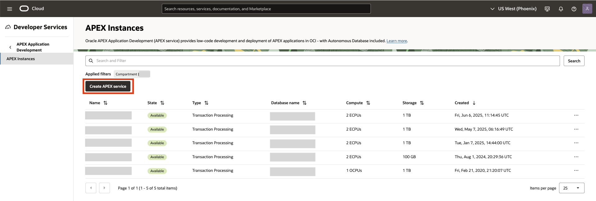APEX Instance