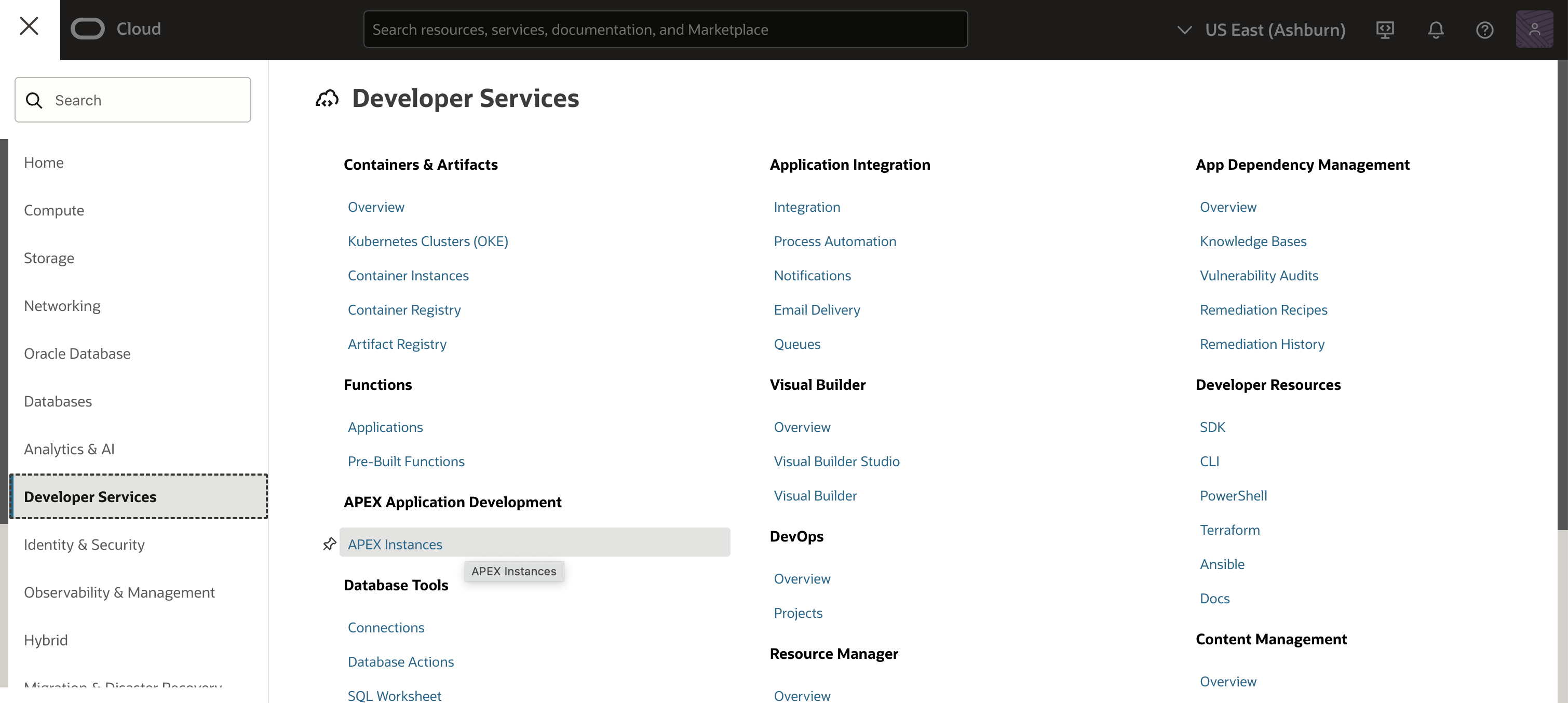 APEX Service Instance Navigation