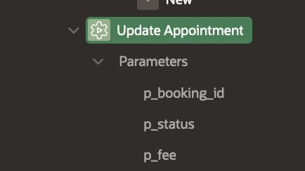 Update Appointment Invoke API Parameters