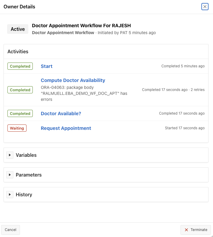 Active Workflow Detail in Workflow Console after Retry by the Workflow Owner