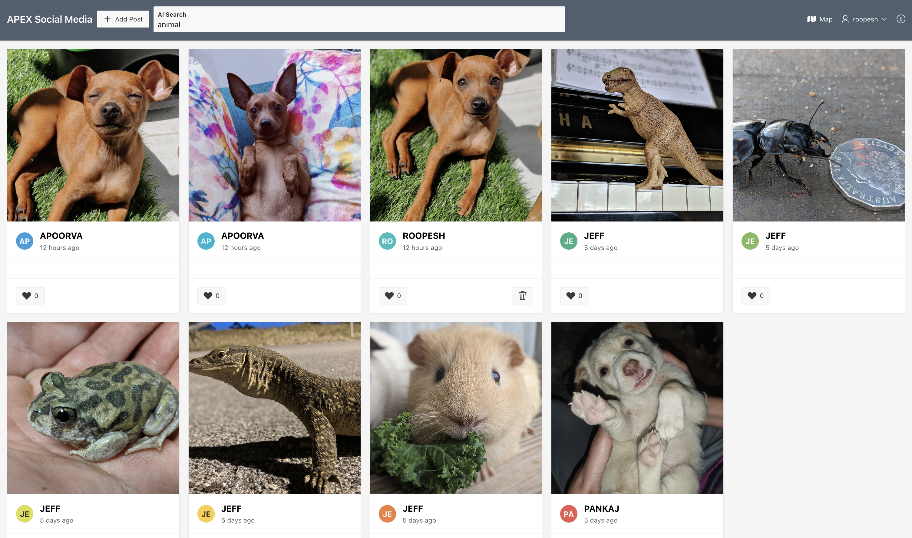 OCI Vision Search - Animal