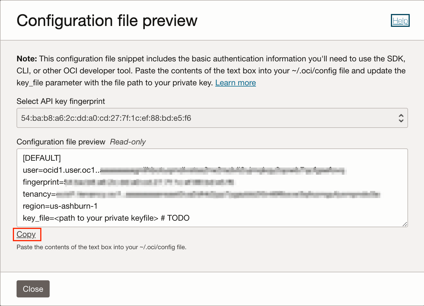 copy the config details