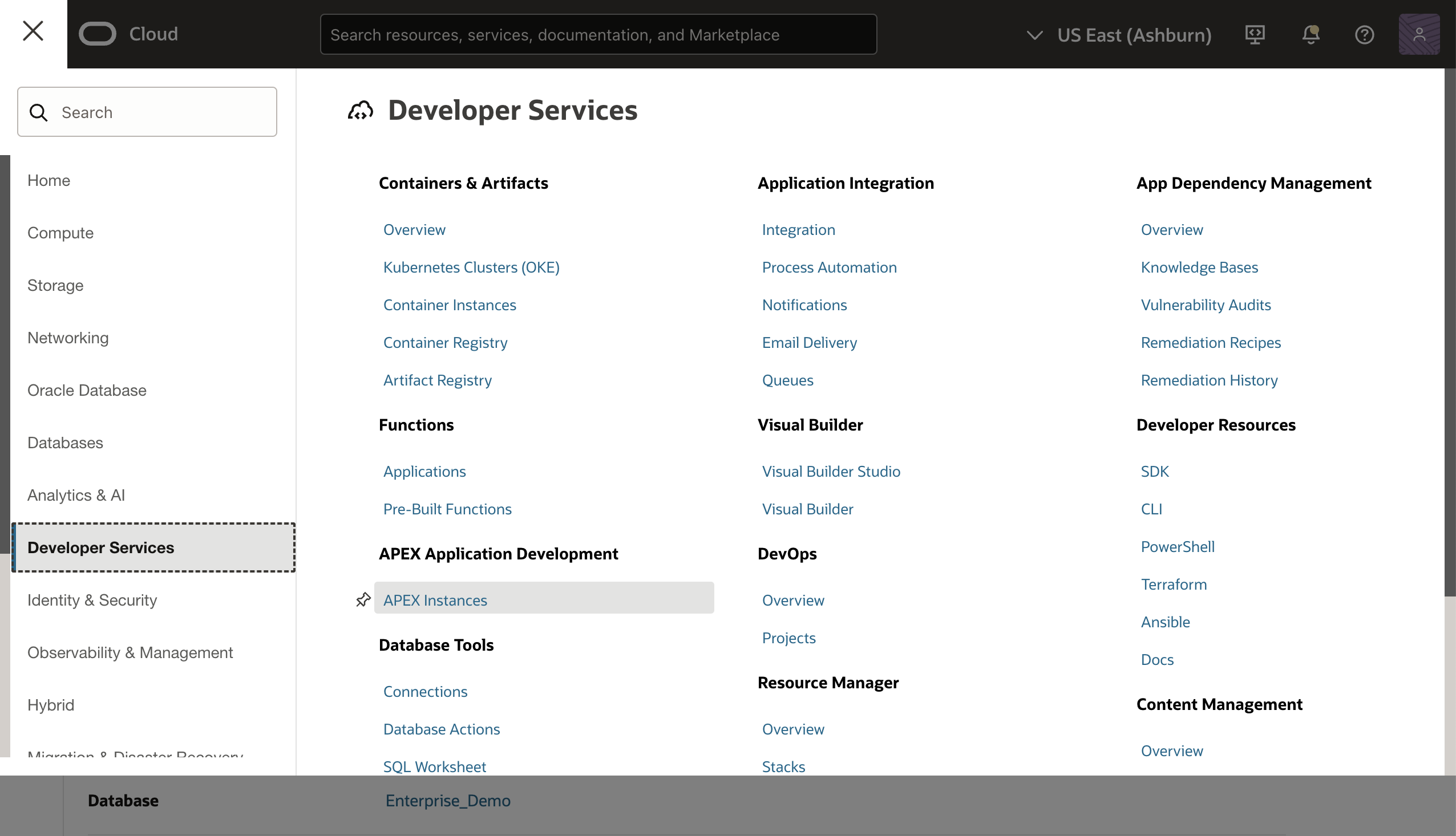 select APEX Instances