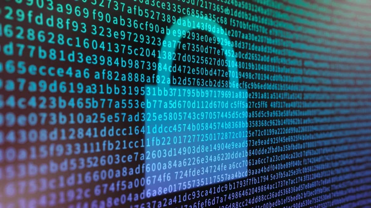 How to Use Built-in Encryption and Decryption Support When Exporting ...