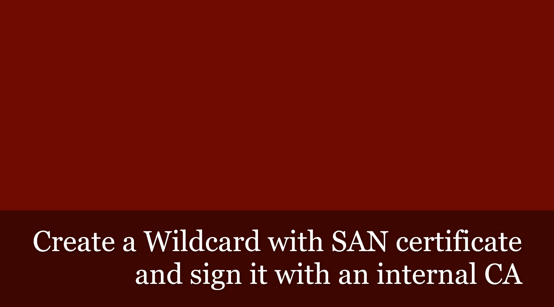 Create a Wildcard with SAN certificate and sign it with an internal CA (using keytool command)