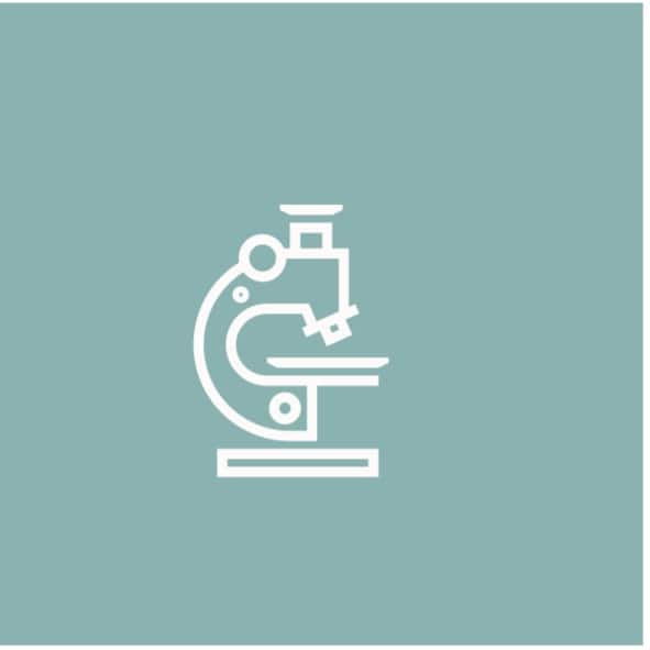 Performance Monitoring and Optimization Tools