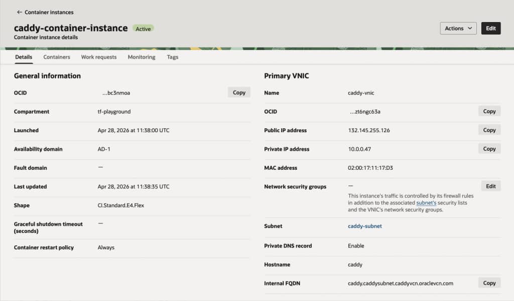 Detail page of the container instance