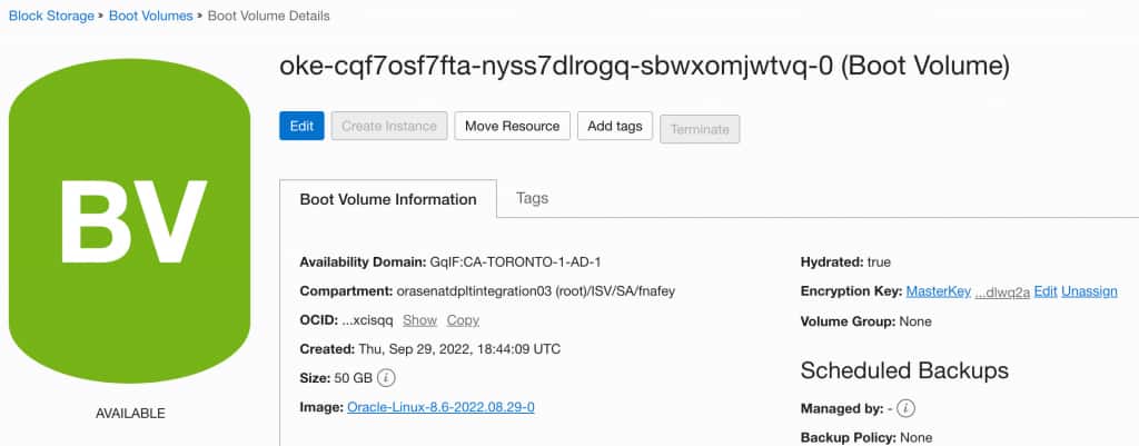 Persistent colume claim is encrypted with the customer managed key