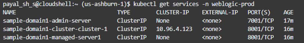 Domain, Cluster, pod, service, and introspector screenshot