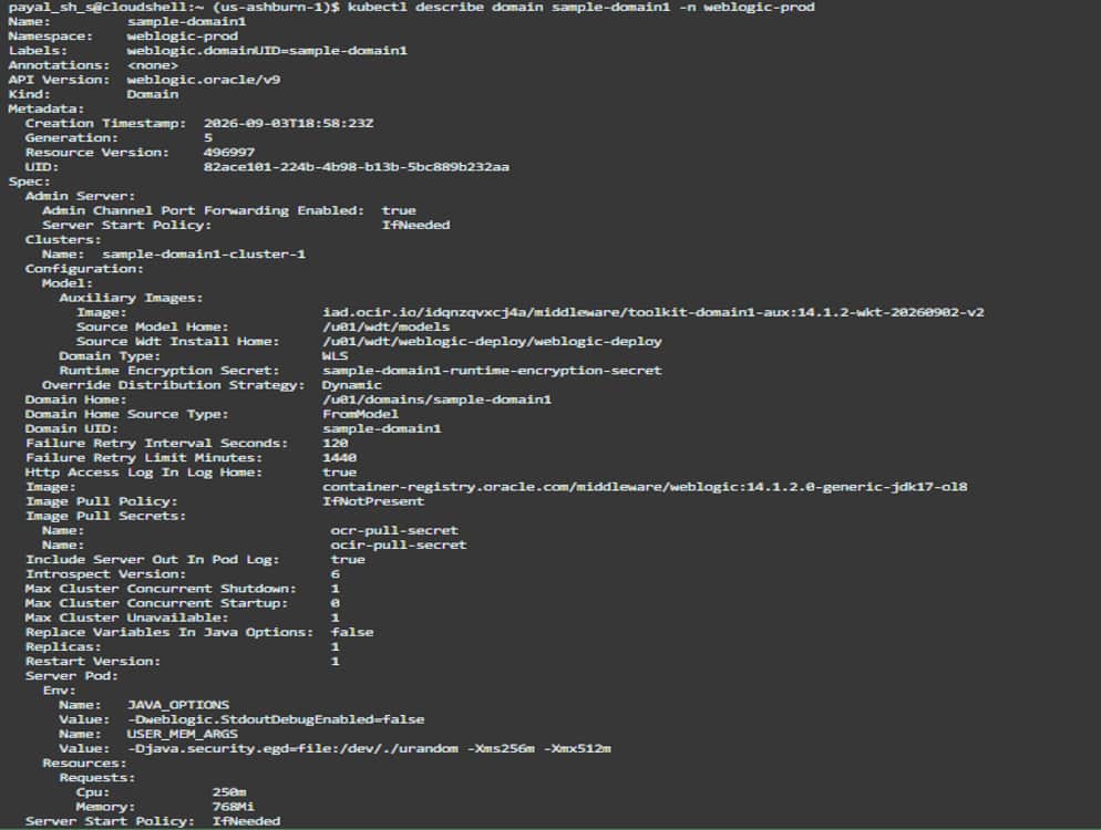Domain, Cluster, pod, service, and introspector screenshot