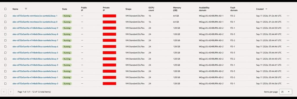 Figure 2. OCI Compute Console snapshot of the complete OKE cluster, showing 12 instances across the configured E6 Flex shapes and availability domains.