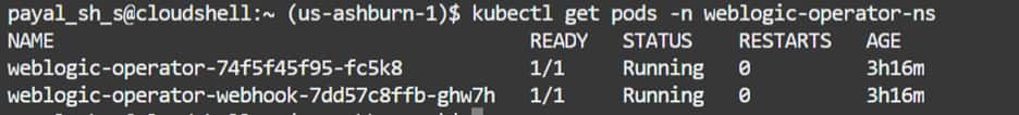 kubectl get pods