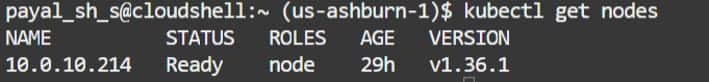 kubectl  get nodes