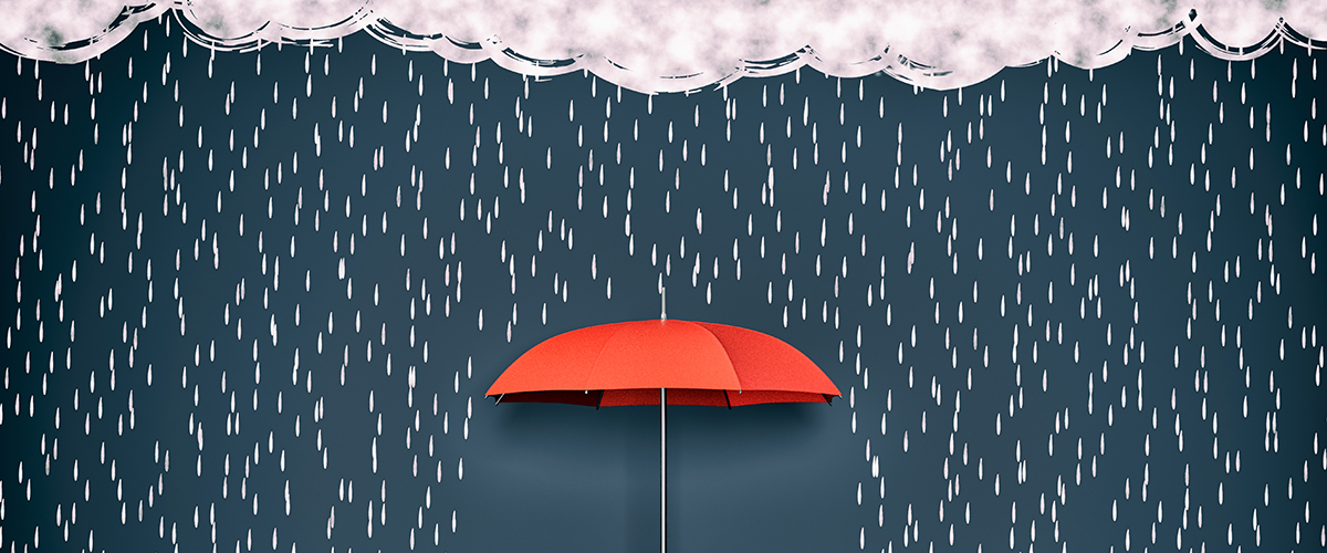 Real-Time Homomorphic Security Increasing ROI  and Time to Market for Development Projects